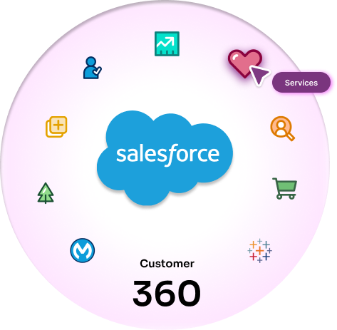 Customer 360 Salesforce Implementation